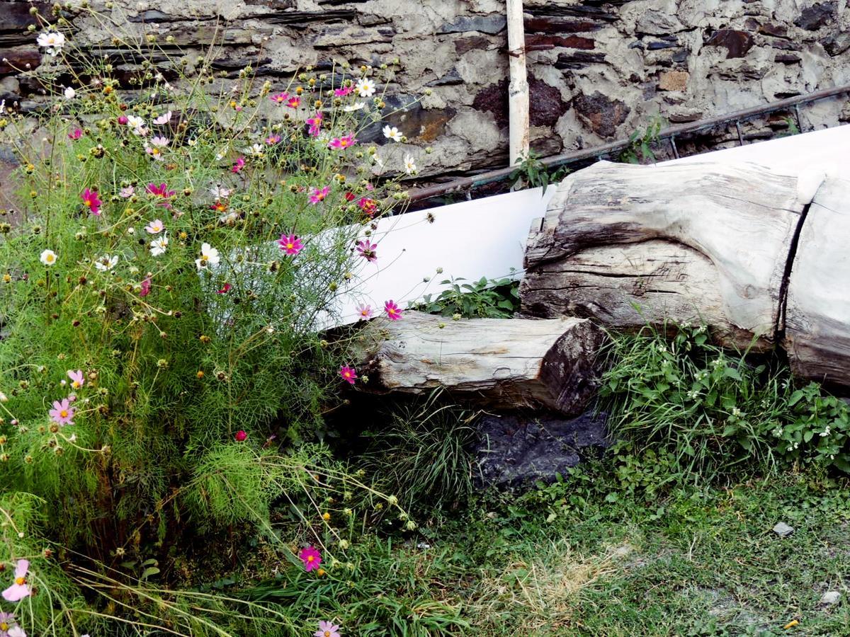 Nino Khetaguri Guest House Kazbegi Bagian luar foto
