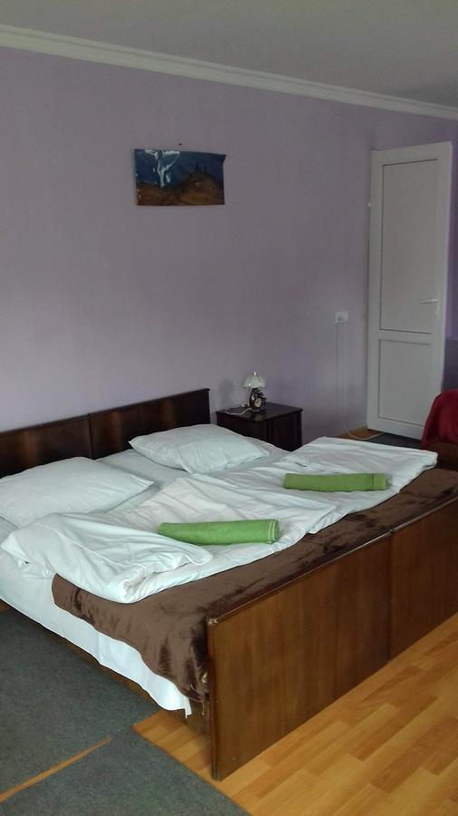 Nino Khetaguri Guest House Kazbegi Bagian luar foto
