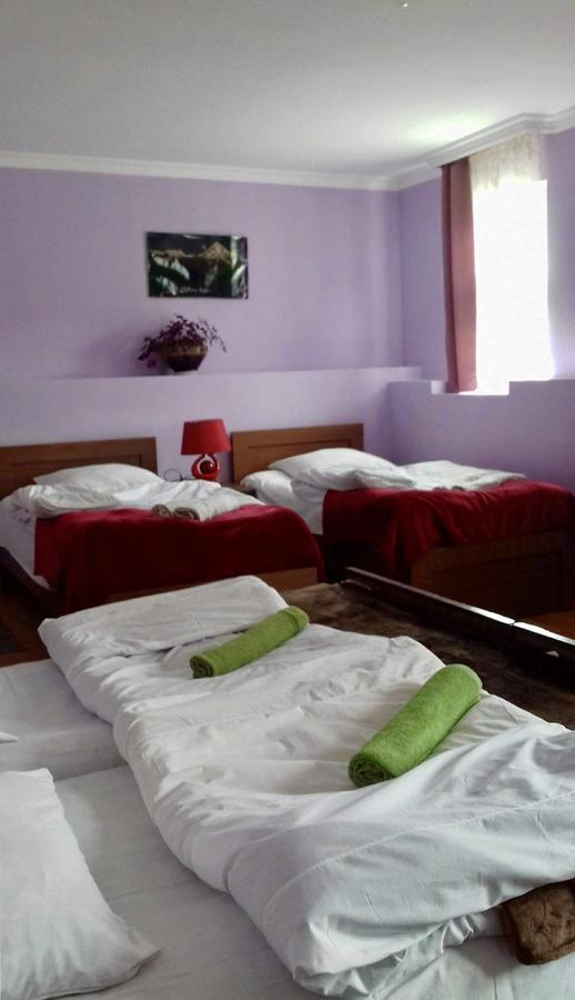 Nino Khetaguri Guest House Kazbegi Bagian luar foto