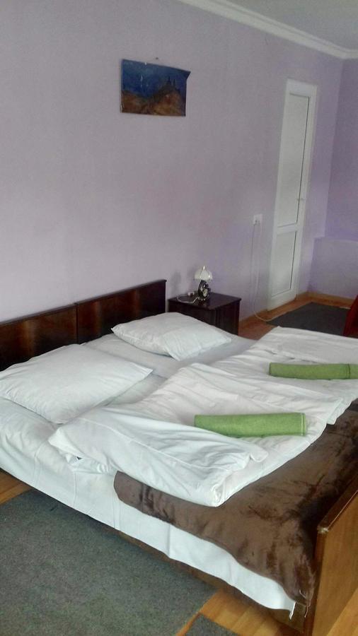 Nino Khetaguri Guest House Kazbegi Bagian luar foto
